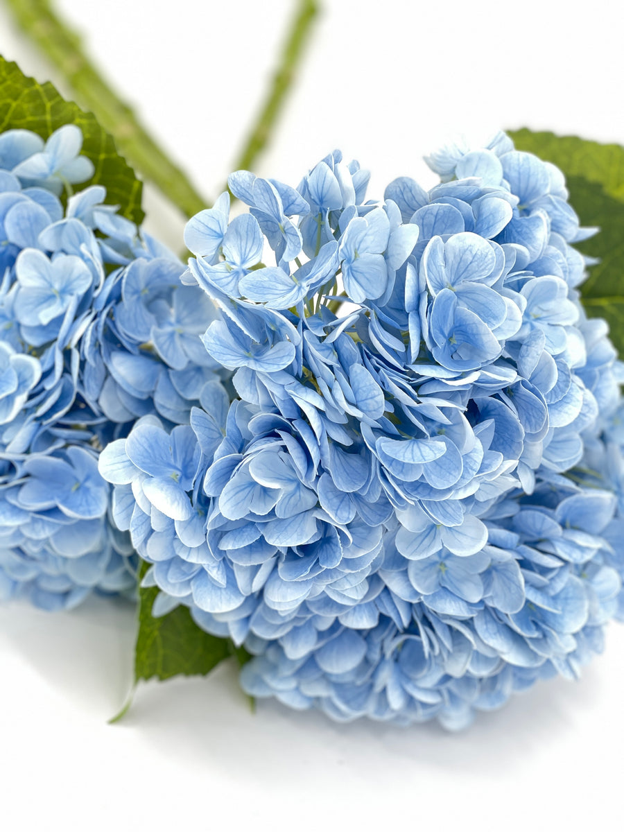 Blue Real Touch Large Hydrangea