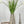 Modern Decor, Tall Dandelions Artificial Faux Arrangement in Vase. Elegant Floral Faux Floral Centerpiece, Home, Office Decor Arrangement