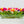 Modern Long REAL TOUCH Tulip Arrangement Artificial Faux Centerpiece Floral Flower Arrangement Silk Flowers Glass Vase French Decor Pink