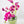 Magenta Pink Calla Lilies Phalaenopsis Orchid Arrangement, Real Touch Flower in Glass Vase | Table Centerpiece Floral French Decor Flower