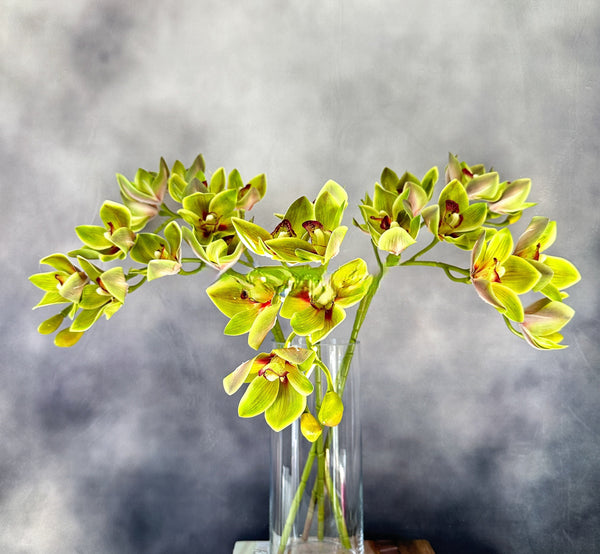 Artificial Orchid Stems