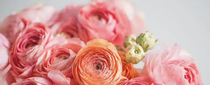 Artificial Ranunculus Stems
