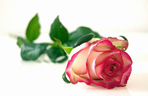 Artificial Rose Stems