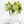 3 stems Berry Fruit Stem, Artificial Filler, High-Quality Realistic Kitchen/Wedding/Home Decoration Gift Decor Floral