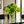 Green Real Touch Dianthus Arrangement, Modern Home/Office Decor, Artificial Faux Flower Centerpiece in Glass Vase for Home Decor Floral Gift