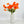 23 Inch Poppy Stem Tall Luxury Quality Artificial Flower | Wedding/Home Decoration | Gifts Decor | Floral Faux Floral, Poppy Stem
