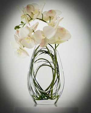 Modern Cream 2 Stems Phalaenopsis Orchid Arrangement, Real Touch Orchid in Glass Vase | Table Centerpiece | Floral Decor Flower French Decor