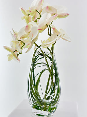 Modern Cream 2 Stems Phalaenopsis Orchid Arrangement, Real Touch Orchid in Glass Vase | Table Centerpiece | Floral Decor Flower French Decor