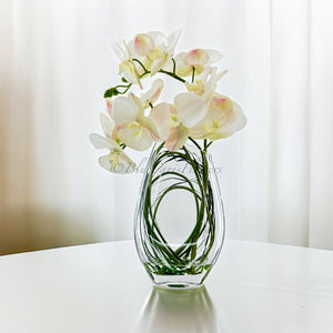 Modern Cream 2 Stems Phalaenopsis Orchid Arrangement, Real Touch Orchid in Glass Vase | Table Centerpiece | Floral Decor Flower French Decor