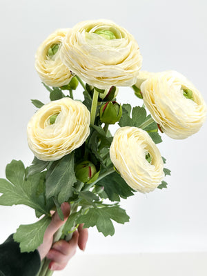 Ranunculus High-Quality Artificial Flower Stem | Wedding/Home Decoration Gifts | Decor | Floral, Silk Artificial Flower, Craft Supply