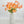 23 Inch Poppy Stem Tall Luxury Quality Artificial Flower | Wedding/Home Decoration | Gifts Decor | Floral Faux Floral, Poppy Stem