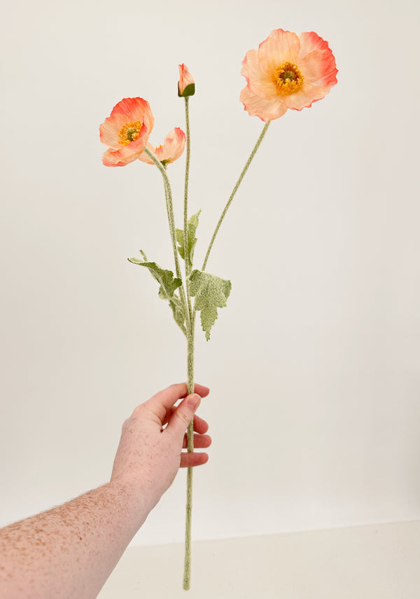 23 Inch Poppy Stem Tall Luxury Quality Artificial Flower | Wedding/Home Decoration | Gifts Decor | Floral Faux Floral, Poppy Stem