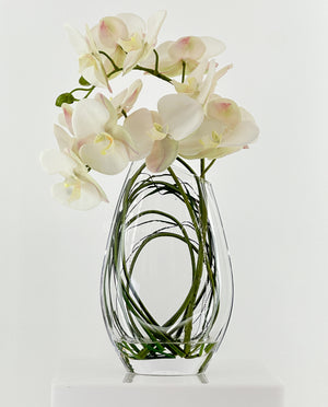 Modern Cream 2 Stems Phalaenopsis Orchid Arrangement, Real Touch Orchid in Glass Vase | Table Centerpiece | Floral Decor Flower French Decor