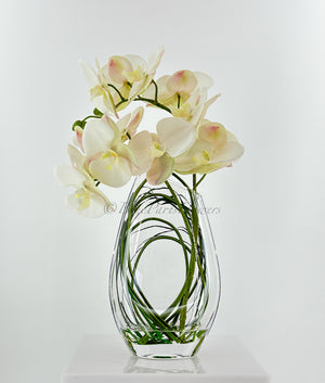 Modern Cream 2 Stems Phalaenopsis Orchid Arrangement, Real Touch Orchid in Glass Vase | Table Centerpiece | Floral Decor Flower French Decor