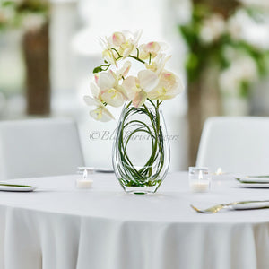 Modern Cream 2 Stems Phalaenopsis Orchid Arrangement, Real Touch Orchid in Glass Vase | Table Centerpiece | Floral Decor Flower French Decor