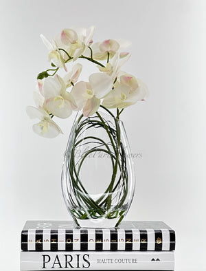 Modern Cream 2 Stems Phalaenopsis Orchid Arrangement, Real Touch Orchid in Glass Vase | Table Centerpiece | Floral Decor Flower French Decor