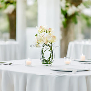 Modern Cream 2 Stems Phalaenopsis Orchid Arrangement, Real Touch Orchid in Glass Vase | Table Centerpiece | Floral Decor Flower French Decor