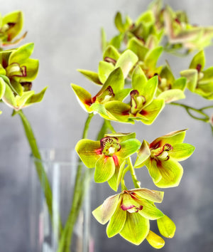 26 inch Boat Orchid Stem Artificial Flowers, Faux Fake Floral Branches, Real Touch Orchid Realistic Home Wedding Kitchen Decor Spring