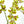 26 inch Boat Orchid Stem Artificial Flowers, Faux Fake Floral Branches, Real Touch Orchid Realistic Home Wedding Kitchen Decor Spring