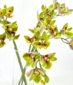 26 inch Boat Orchid Stem Artificial Flowers, Faux Fake Floral Branches, Real Touch Orchid Realistic Home Wedding Kitchen Decor Spring