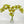 26 inch Boat Orchid Stem Artificial Flowers, Faux Fake Floral Branches, Real Touch Orchid Realistic Home Wedding Kitchen Decor Spring