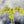 26 inch Boat Orchid Stem Artificial Flowers, Faux Fake Floral Branches, Real Touch Orchid Realistic Home Wedding Kitchen Decor Spring