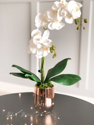 Faux White Double Stems Phalaenopsis Orchid Arrangement, Real Touch Flower in Vase