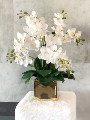 White 8 Stems Phalaenopsis Orchid Arrangement, Real Touch Flower