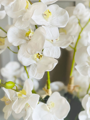 White 8 Stems Phalaenopsis Orchid Arrangement, Real Touch Flower in Vase, Faux Floral Decor