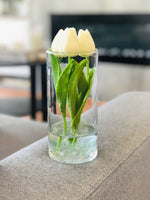 White Tulips | Modern Arrangement | Real Touch | Artificial Faux Forever Flowers in Glass Vase for Home Decor by Blue Paris Flowers