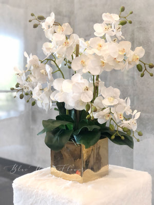 White 8 Stems Phalaenopsis Orchid Arrangement, Real Touch Flower