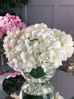 White Hydrangea Artificial Faux Arrangement in Clear Glass Vase with clear acrylic water for Home Decor by Blue Paris Flowers