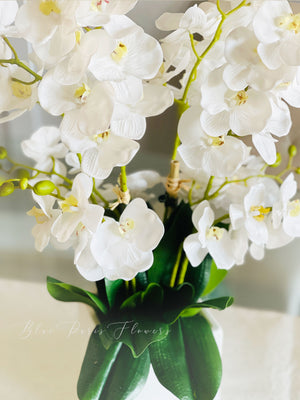 White 8 Stems Phalaenopsis Orchid Arrangement, Real Touch Flower in Vase, Faux Floral Decor