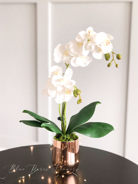 Faux White Double Stems Phalaenopsis Orchid Arrangement, Real Touch Flower in Vase