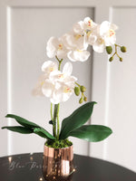 Faux White Double Stems Phalaenopsis Orchid Arrangement, Real Touch Flower in Vase
