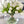 X-Large 60 White Tulips | Modern Faux Floral Arrangement | Real Touch Artificial Faux Forever Flowers in Glass Vase, Faux Flowers in Vase