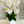 White 8 Stems Phalaenopsis Orchid Arrangement, Real Touch Flower in Vase, Faux Floral Decor