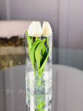 White Tulips | Modern Arrangement | Real Touch | Artificial Faux Forever Flowers in Glass Vase for Home Decor by Blue Paris Flowers