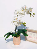 Faux White Double Stems Phalaenopsis Orchid Arrangement, Real Touch Flower in Vase