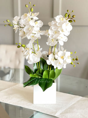White 8 Stems Phalaenopsis Orchid Arrangement, Real Touch Flower in Vase, Faux Floral Decor