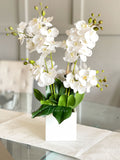 White 8 Stems Phalaenopsis Orchid Arrangement, Real Touch Flower in Vase, Faux Floral Decor