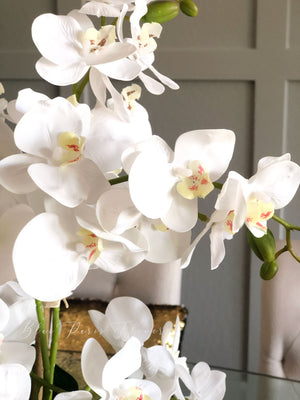 White 8 Stems Phalaenopsis Orchid Arrangement, Real Touch Flower
