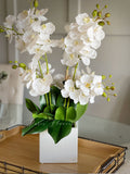 White 8 Stems Phalaenopsis Orchid Arrangement, Real Touch Flower in Vase, Faux Floral Decor