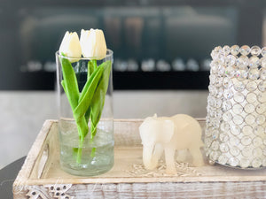 White Tulips | Modern Arrangement | Real Touch | Artificial Faux Forever Flowers in Glass Vase for Home Decor by Blue Paris Flowers