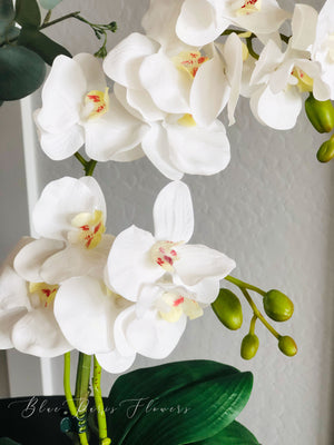 Faux White Double Stems Phalaenopsis Orchid Arrangement, Real Touch Flower in Vase