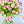 X-Large 60 Mauve Tulips | Modern Faux Floral Arrangement | Real Touch Artificial Centerpiece Faux Flowers in Glass Vase Faux Flowers in Vase