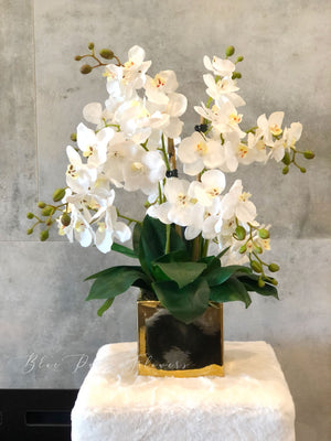 White 8 Stems Phalaenopsis Orchid Arrangement, Real Touch Flower