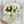 X-Large 60 White Tulips | Modern Faux Floral Arrangement | Real Touch Artificial Faux Forever Flowers in Glass Vase, Faux Flowers in Vase