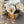 Luxurious White Magnolia Arrangement-Real Touch-Artificial Faux Centerpiece-Fake Flower Centerpiece-Home Decor