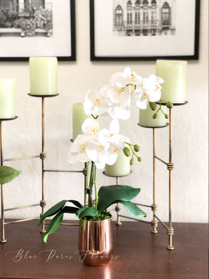 Faux White Double Stems Phalaenopsis Orchid Arrangement, Real Touch Flower in Vase
